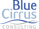 Blue Cirrus Consulting