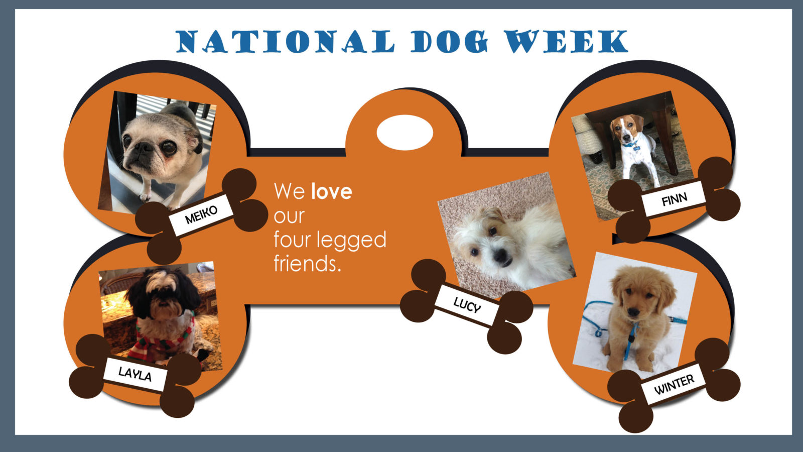 National Dog Week Blue Cirrus Consulting