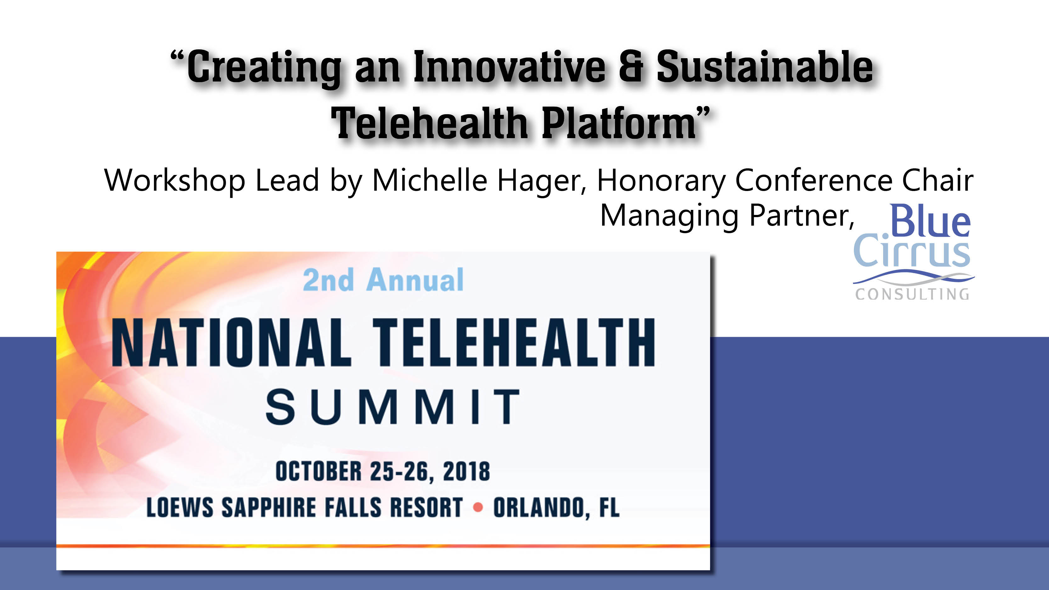 2nd National Telehealth Summit Blue Cirrus Consulting